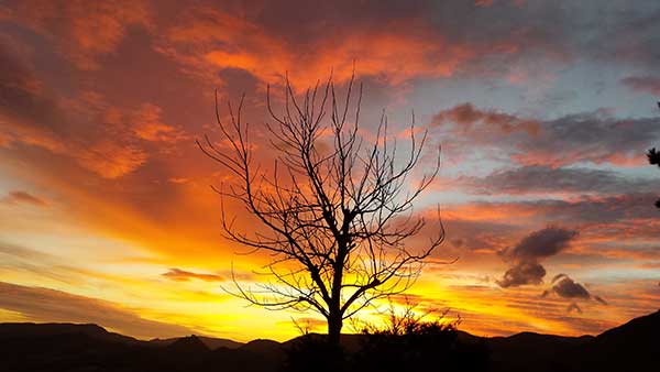 Suggestiva alba di Autunno.