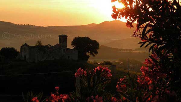 Colline tra Cagli e Pergola.