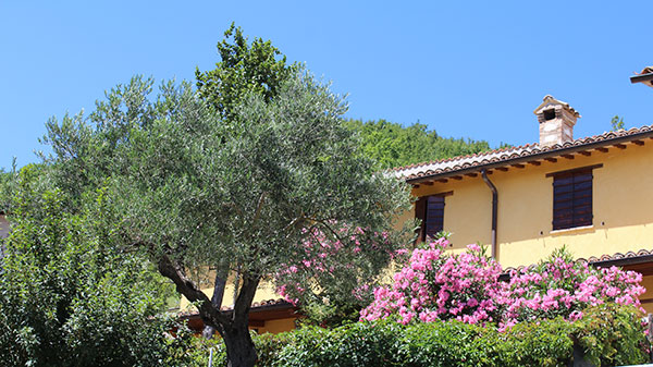 La Contesa sulla strada del monte Catria.